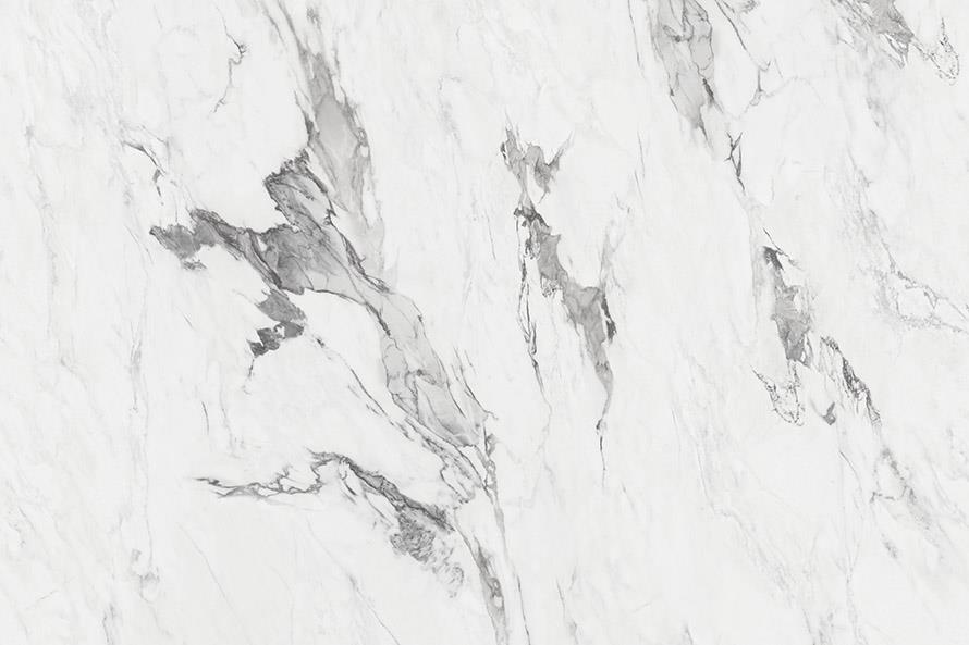 贝洛 ZH16805-4Y